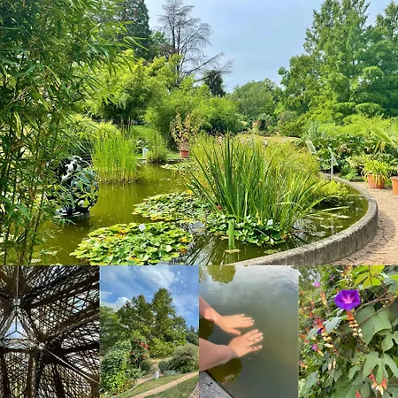 Familien-Appartement Schwarzwald Bei Freiburg Mit Bis Zu 4 Schlafzimmern شقة *