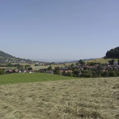 Familien-Appartement Schwarzwald Bei Freiburg Mit Bis Zu 4 Schlafzimmern * Sölden