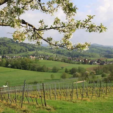 شقة Familien-Appartement Schwarzwald Bei Freiburg Mit Bis Zu 4 Schlafzimmern