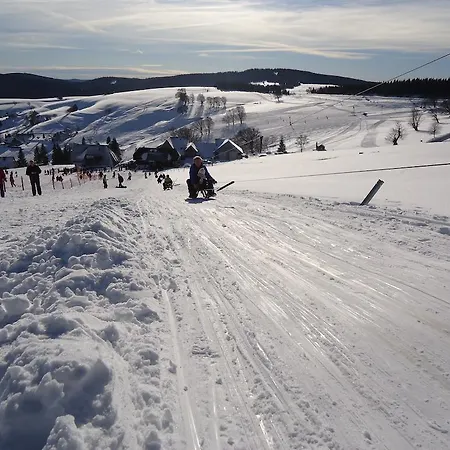 شقة Familien-Appartement Schwarzwald Bei Freiburg Mit Bis Zu 4 Schlafzimmern Sölden