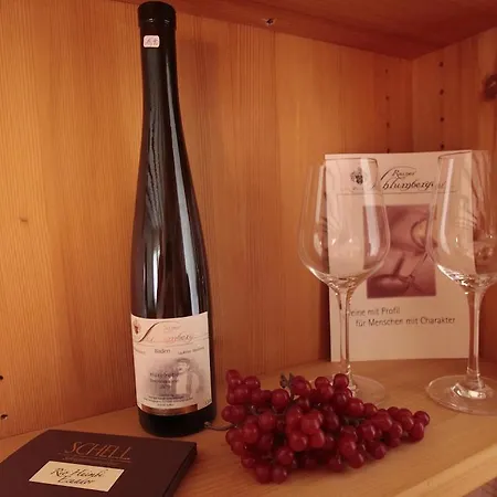 Familien-appartement Schwarzwald Bei Freiburg Mit Bis Zu 4 Schlafzimmern Sölden