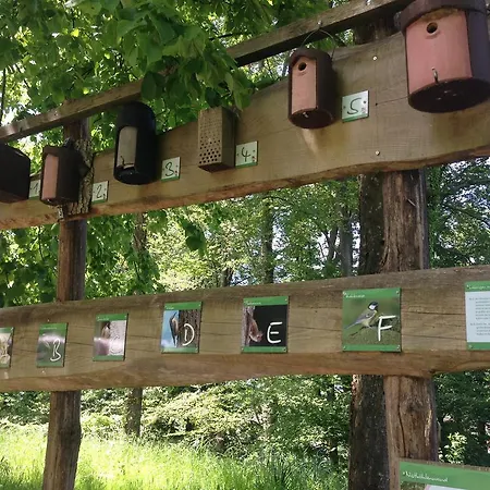 Familien-Appartement Schwarzwald Bei Freiburg Mit Bis Zu 4 Schlafzimmern Sölden