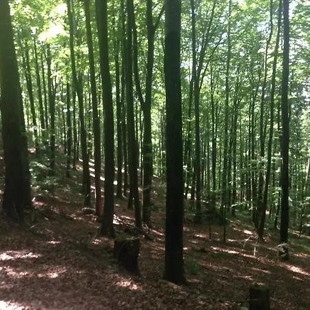 Apartament Familien-appartement Schwarzwald Bei Freiburg Mit Bis Zu 4 Schlafzimmern *