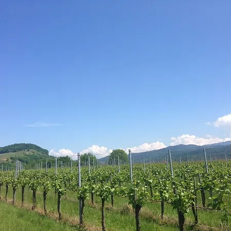 Familien-Appartement Schwarzwald Bei Freiburg Mit Bis Zu 4 Schlafzimmern