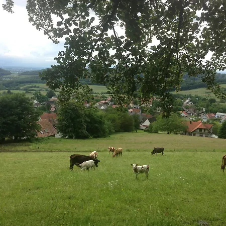 Familien-appartement Schwarzwald Bei Freiburg Mit Bis Zu 4 Schlafzimmern * Sölden